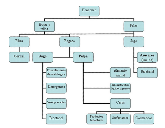 Esquema de aprovechamiento integral